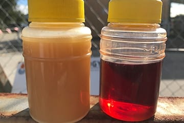 Filter Technology Australia